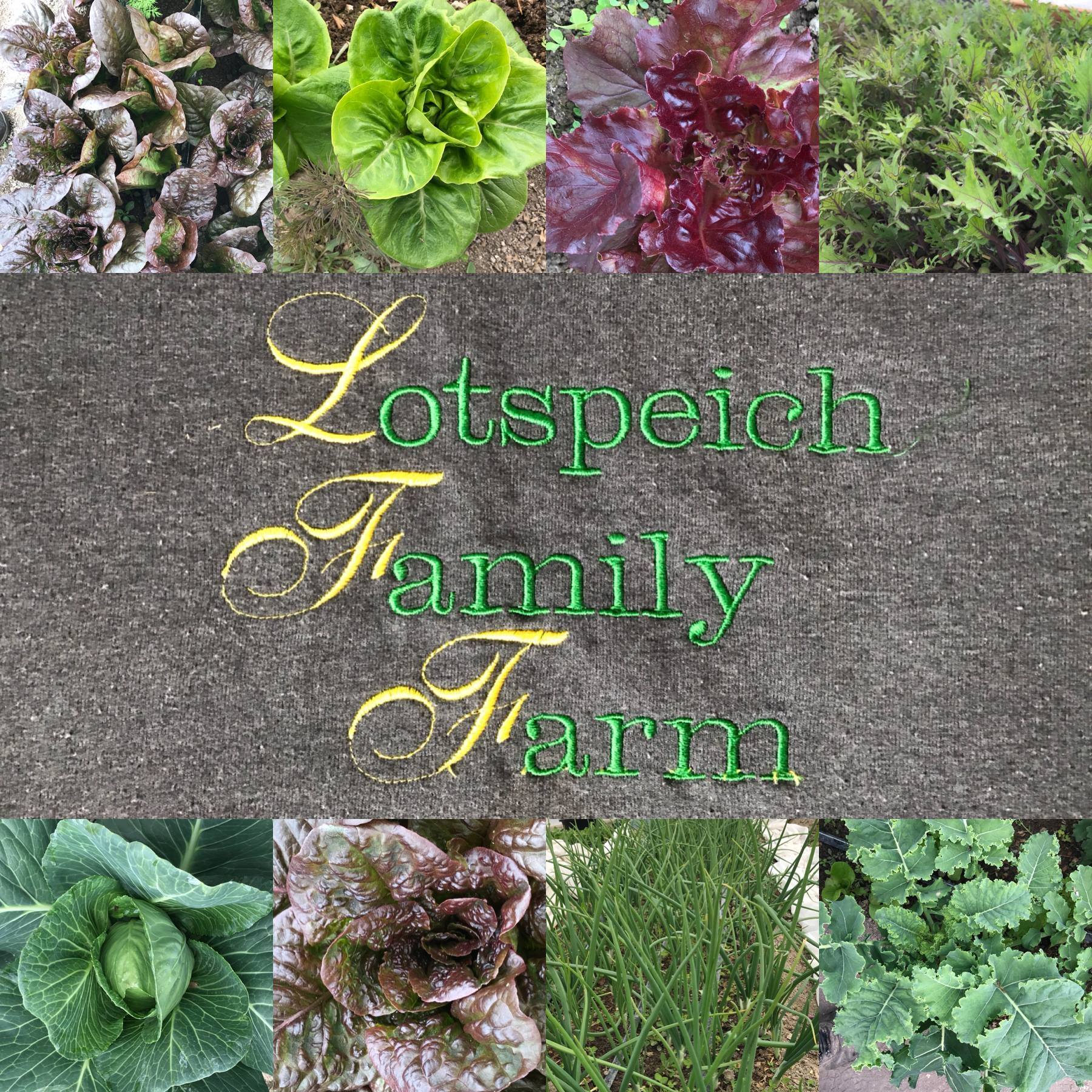 Lotspeich Family Farm on Reels