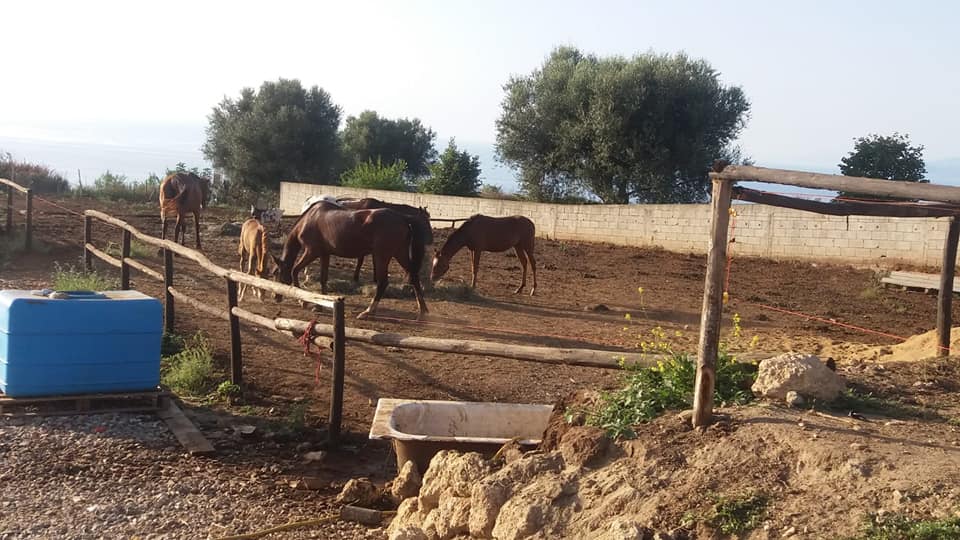 SL ranch