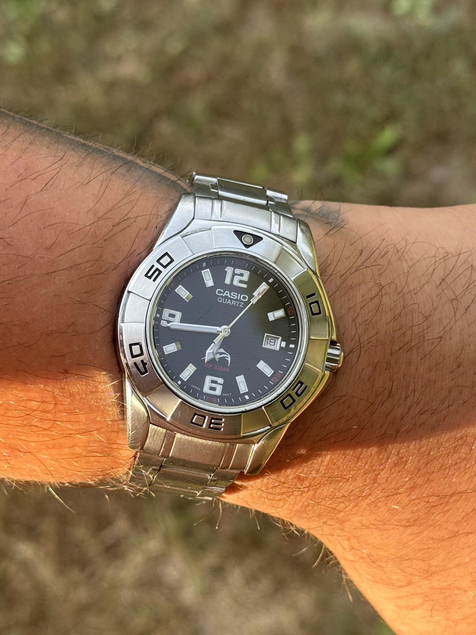 Casio MDV-100D-1AV and MDV-100D-2AV