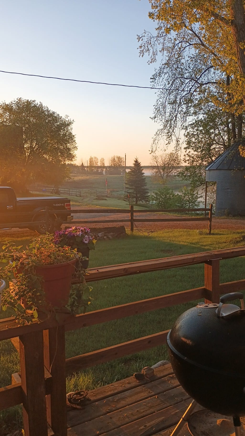 Timberline Ranch Trail rides and horse rescue | Detroit Lakes MN