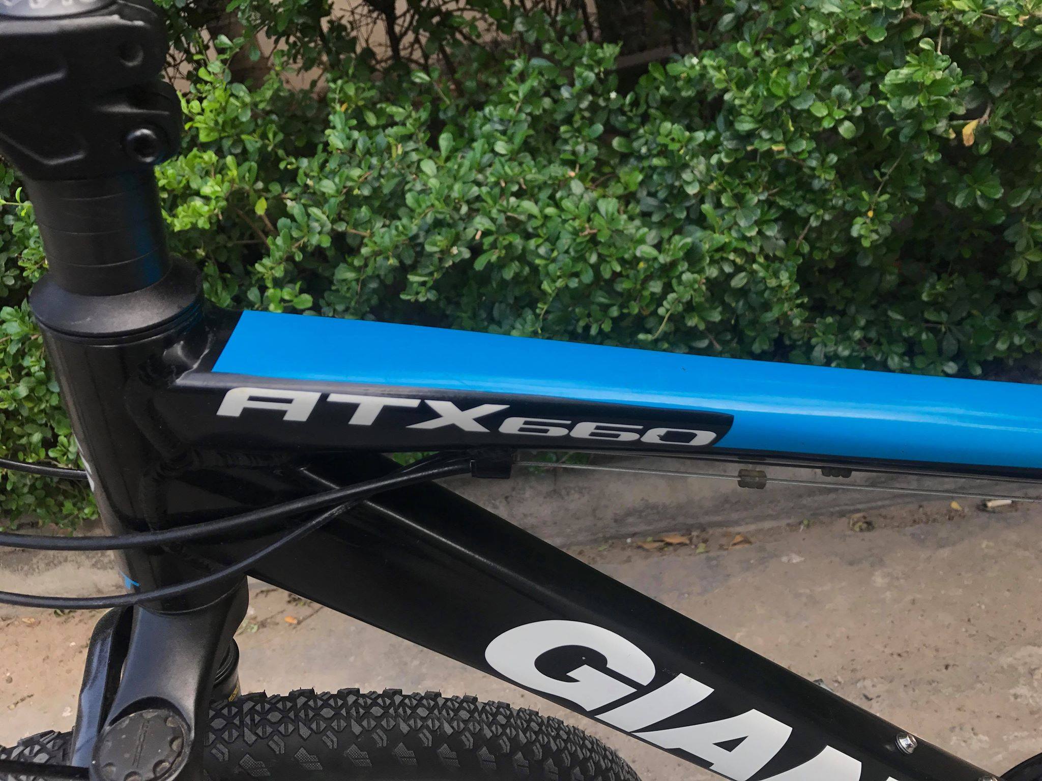 Giant ATX 660: Shimano Tourney 24-speed, Tektro Aries mechanical V 