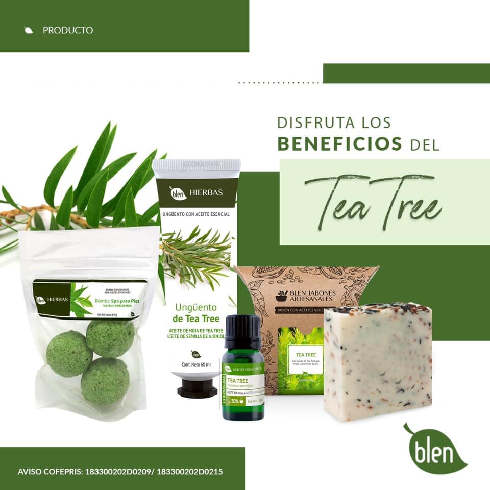 LoGar - ¿Ya conoces las propiedades del Tea Tree? 🌿 Están...