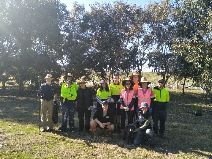 Huge day planting natives with... - Community Veracity | Facebook