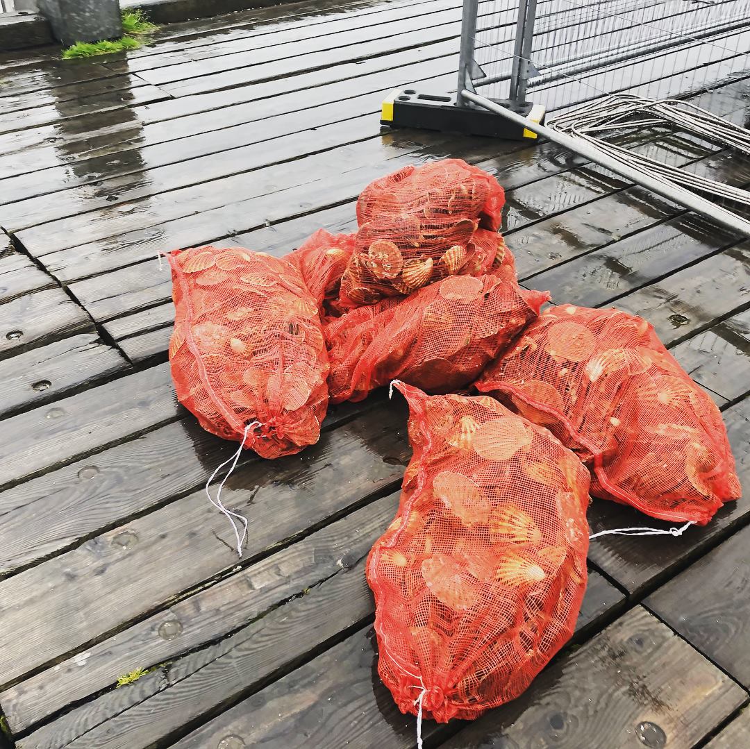 Loch Fyne Seafarms | Tarbert
