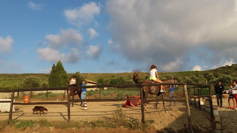 SL ranch