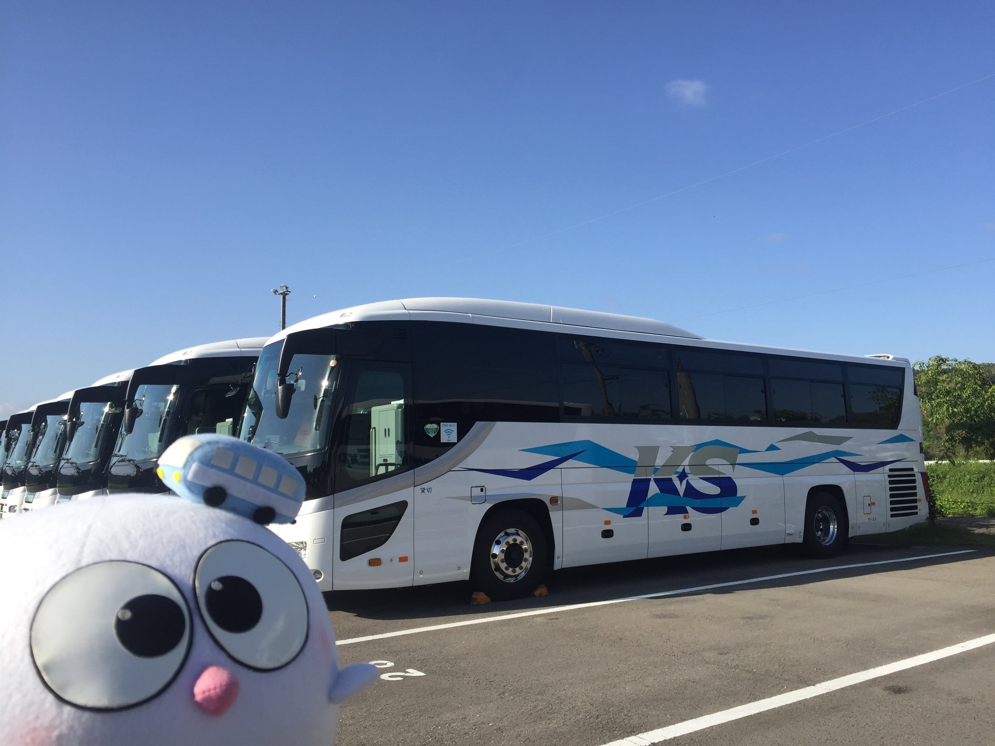 活動歴および当時の関連ビジュアル記録