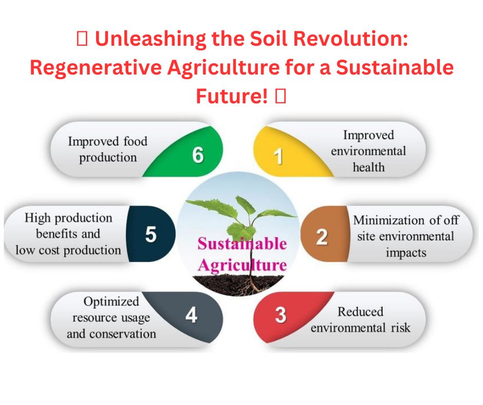 Soil Science Research Hub