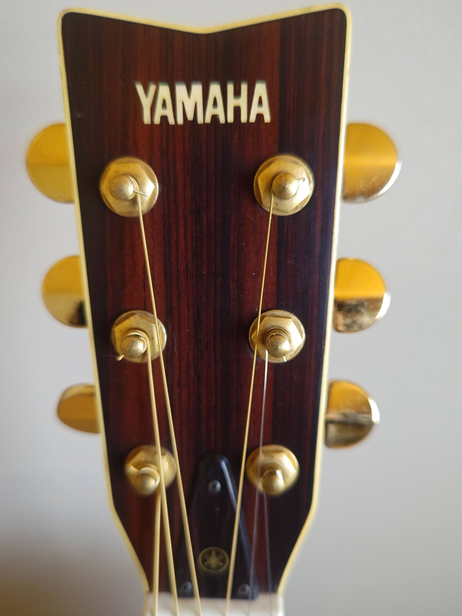 YAMAHA L-5前期　極上スプルース単板コーラルR黒檀　良品時代　鳴未知数 YAMAHA L-5前期極上スプルース単板コーラルR黒檀良品時代鳴未知数