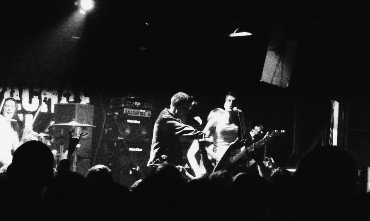 The Rose Will Decay