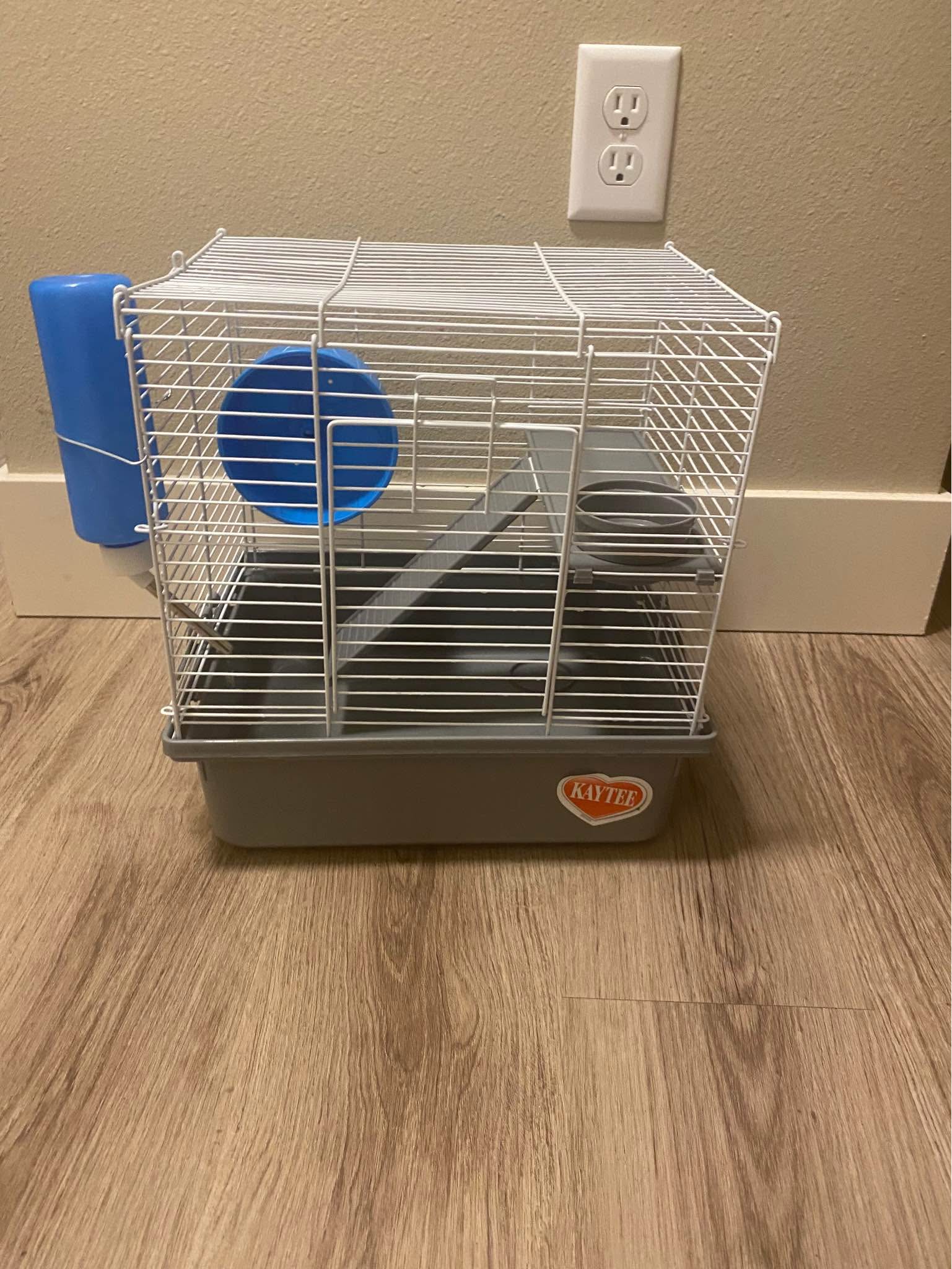 Rehome Rats & Small Pets Worldwide | I collected to much to fast, let ...