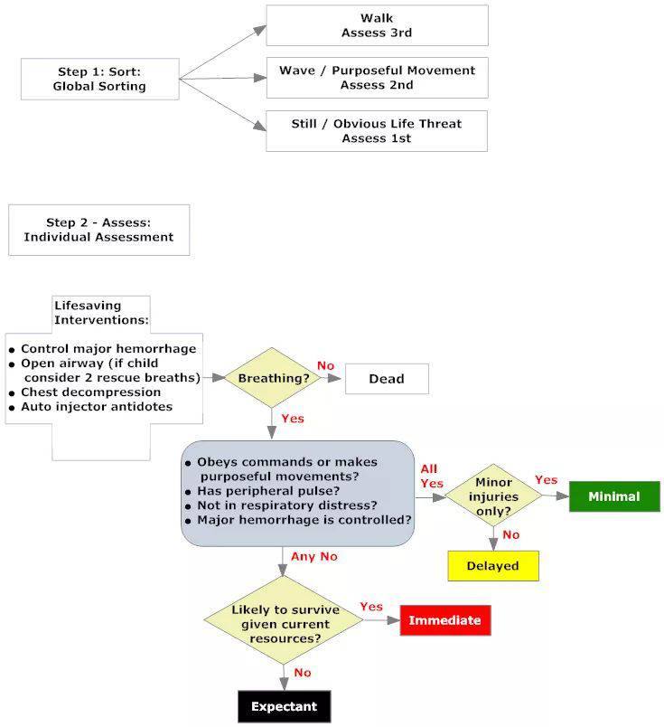 MedicTests.com - SALT Triage Sort, Assess, Lifesaving...