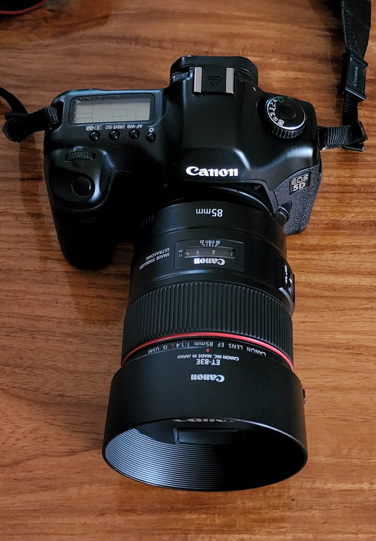 Canon 85.1.8 on Canon 5D Mark IV