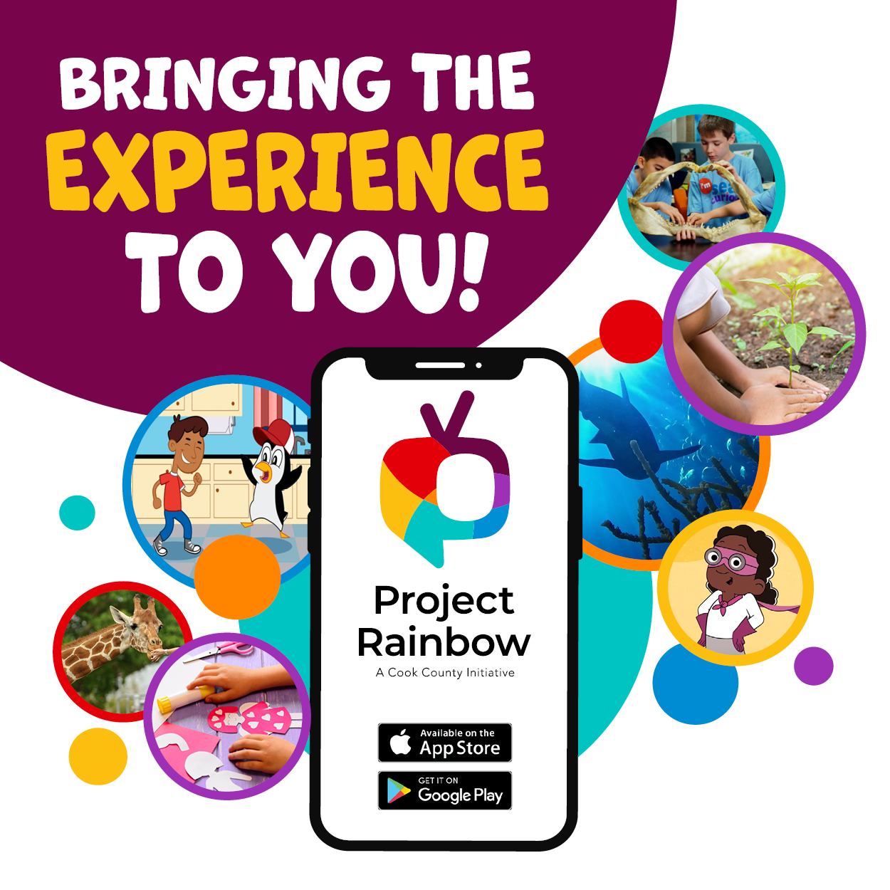 Project Rainbow