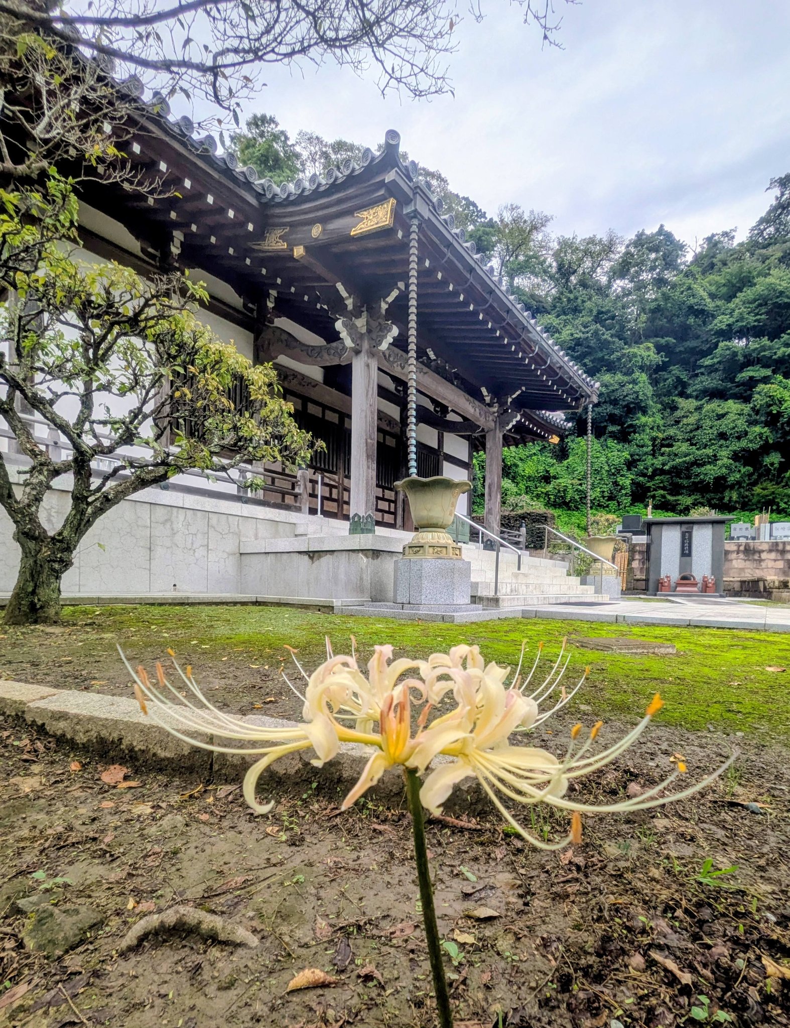 鎌倉市内にも路線を持つ京浜急行バスは、古都鎌倉に相応しいレトロ調