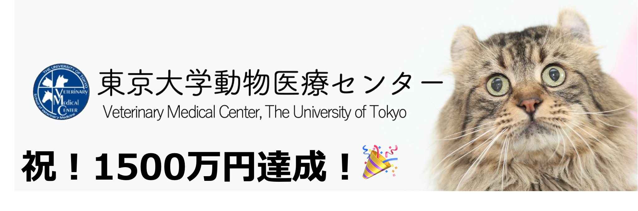 東京大学動物医療センター Veterinary Medical Center The University Of Tokyo 投稿 Facebook