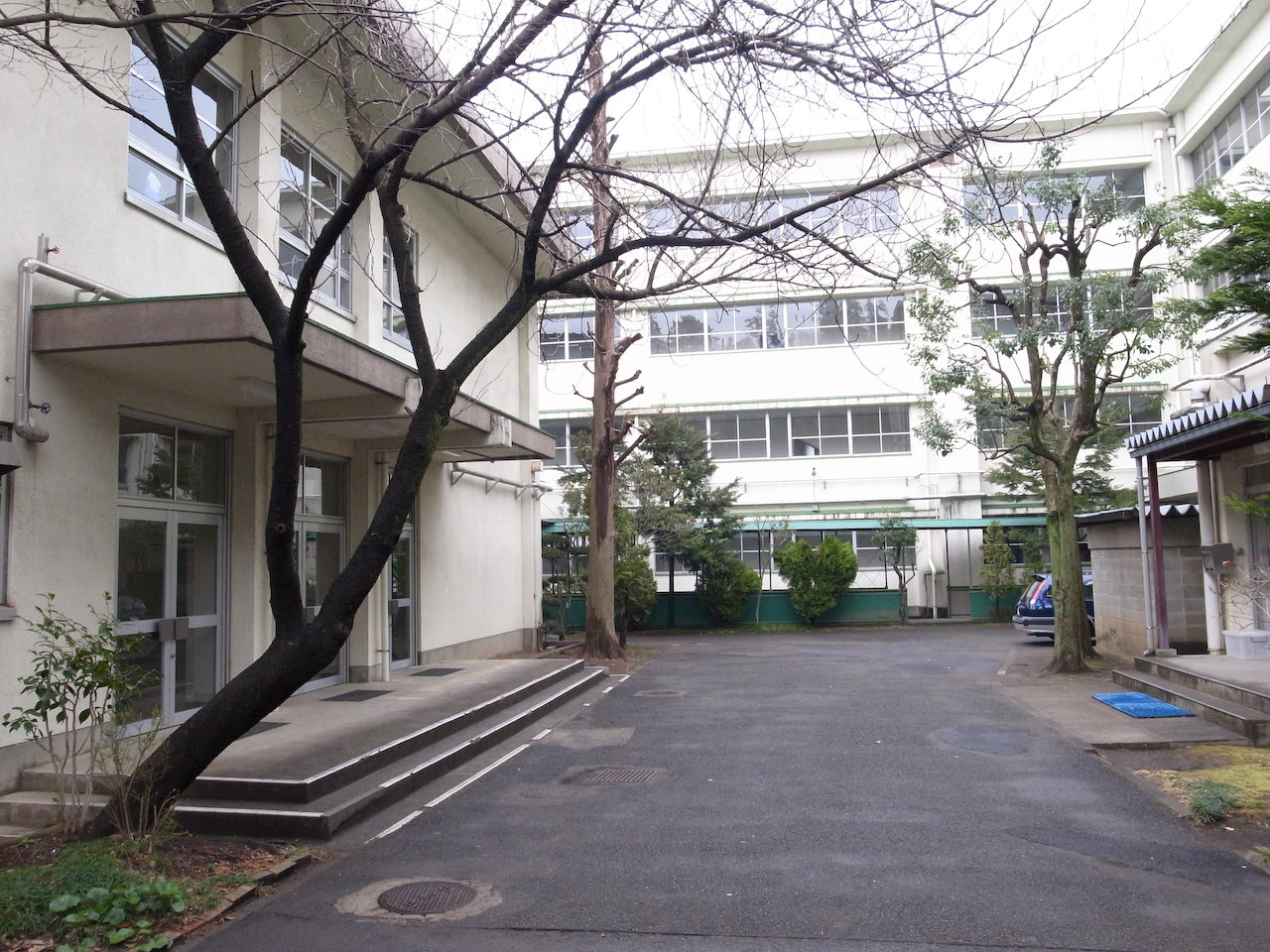活動歴および当時の関連ビジュアル記録