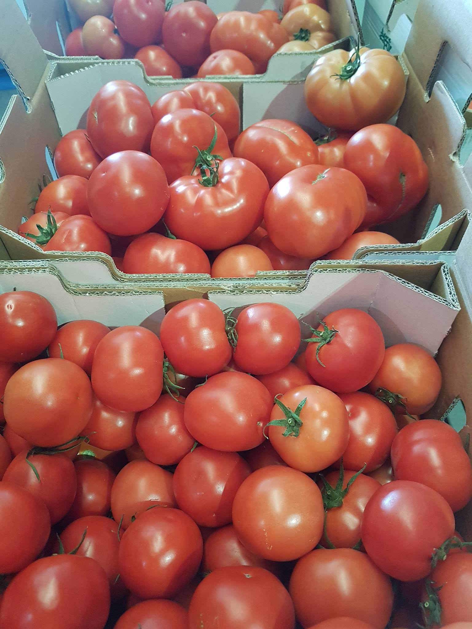 Manto Produce - Our local Gourmet Tomatoe growers 