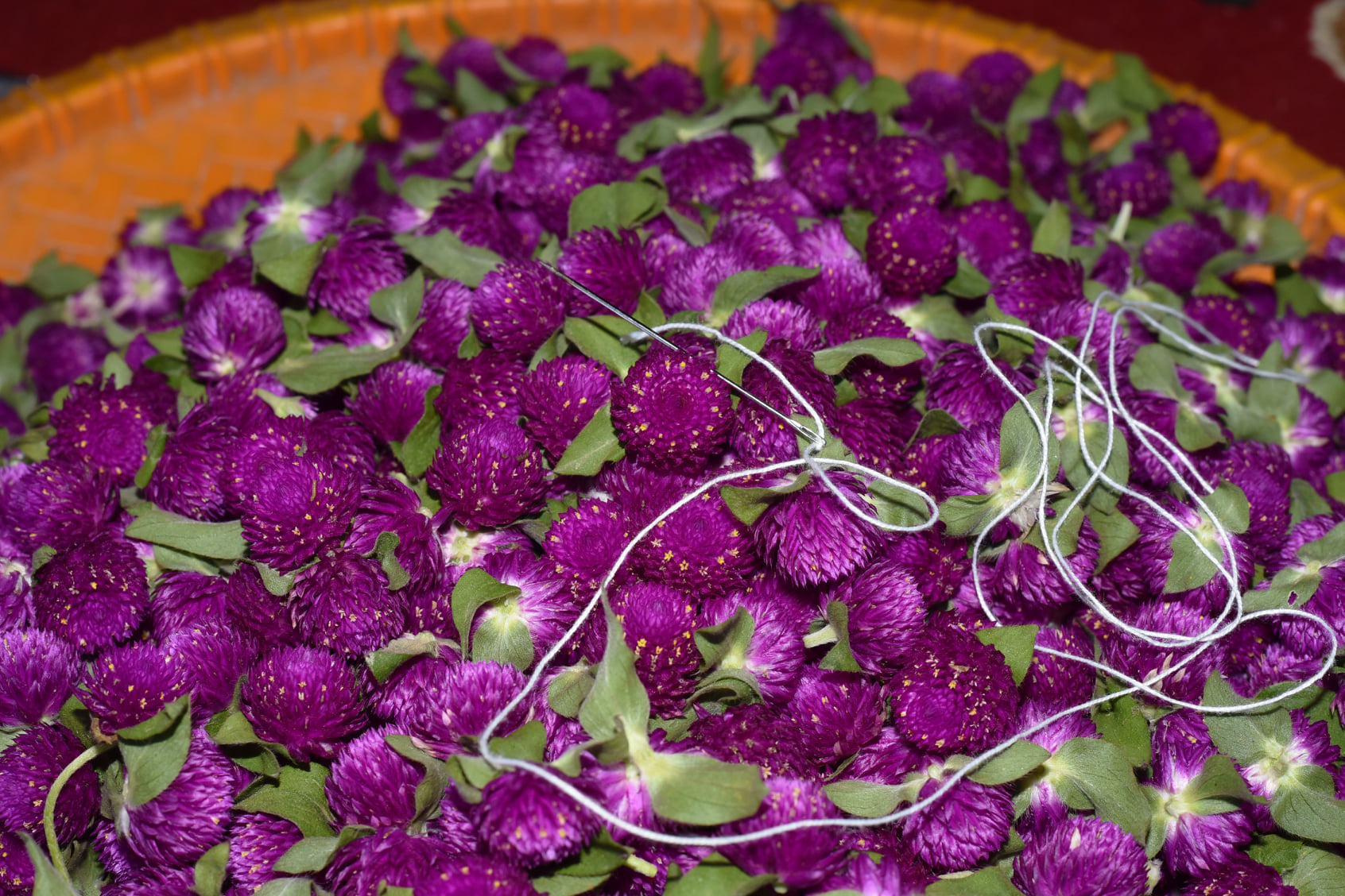 Timla Agro | Kathmandu