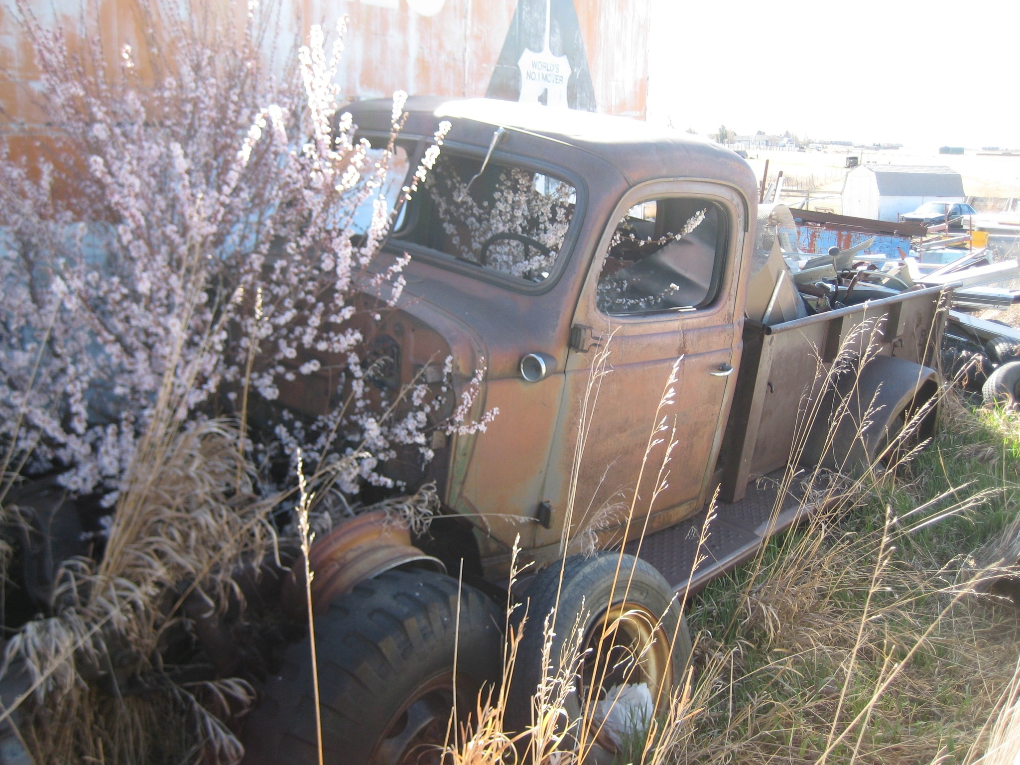 Wyoming buy and sell. | For Sale is my 1982 Chevy K-30 Silverado 3+3 ...