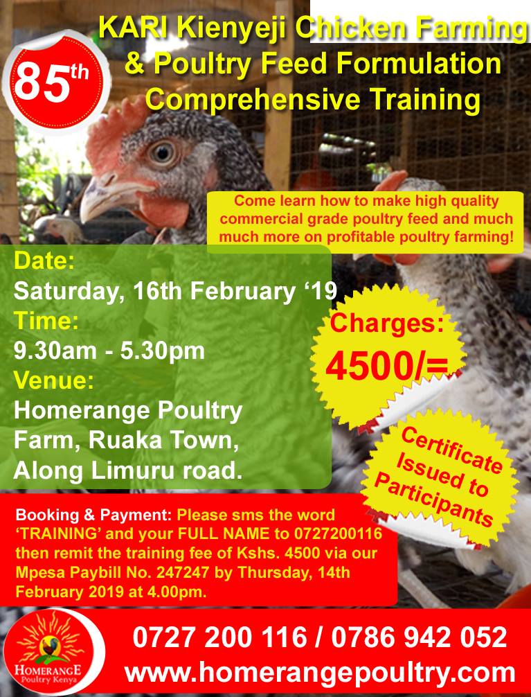 We... - Homerange Poultry Farm Kari Improved Kienyeji Chicken