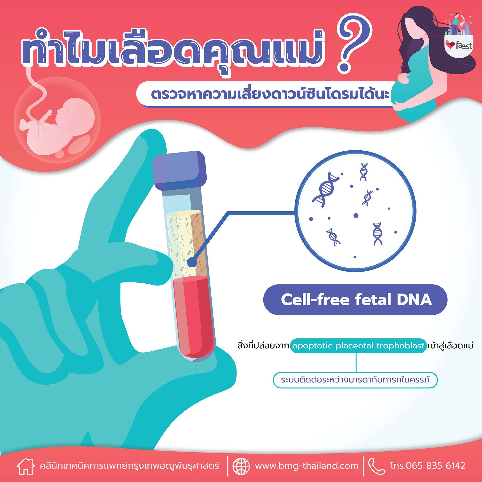 NIPT FAEST - 🌸 เพราะในเลือดของคุณแม่จะมี Cell-free fetal DNA ซึ่งก็คือ ...