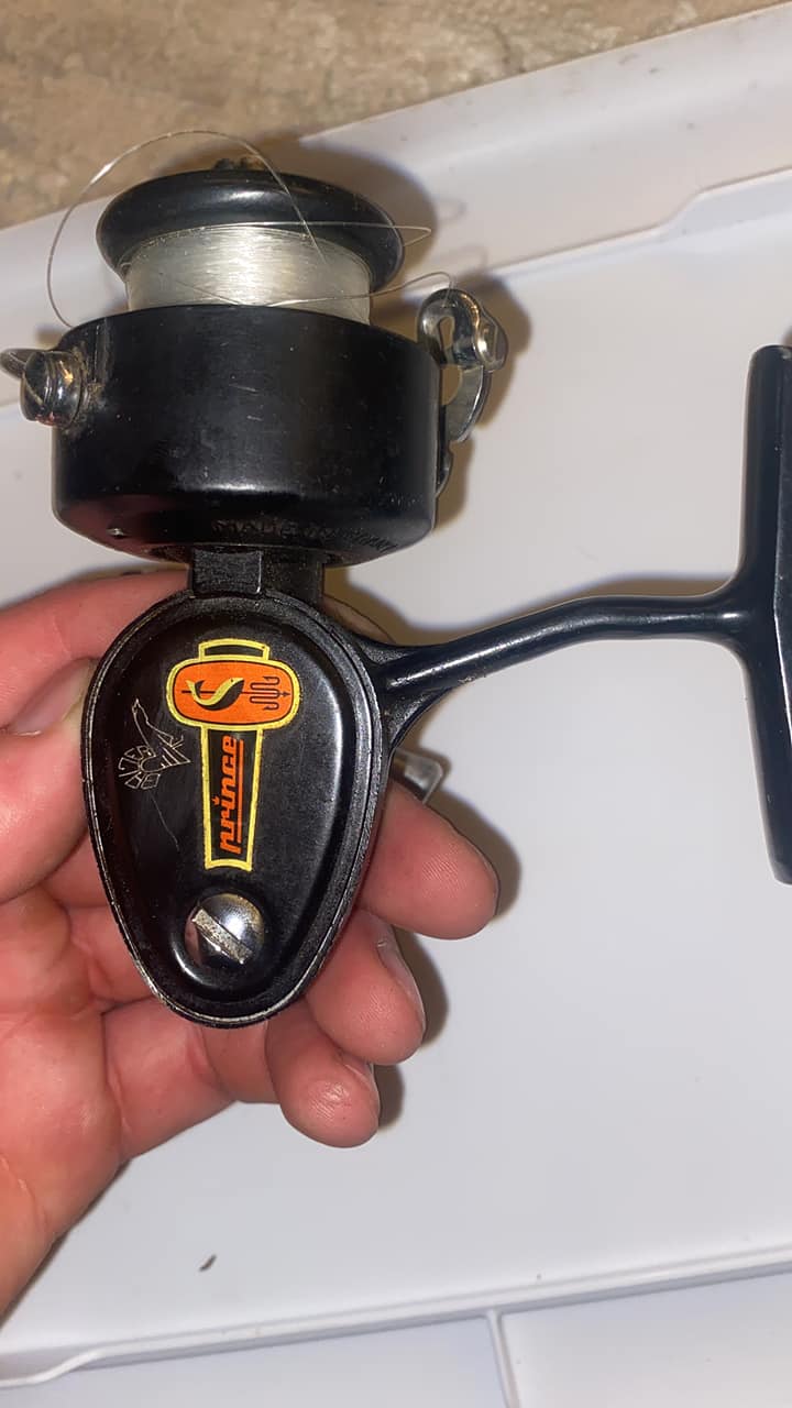 What is special about the Mitchell Prince 309 reel?