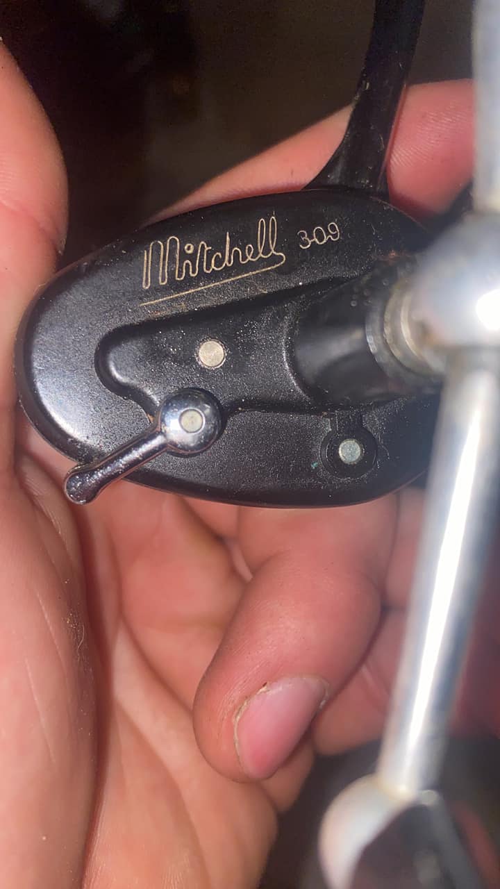 What is special about the Mitchell Prince 309 reel?
