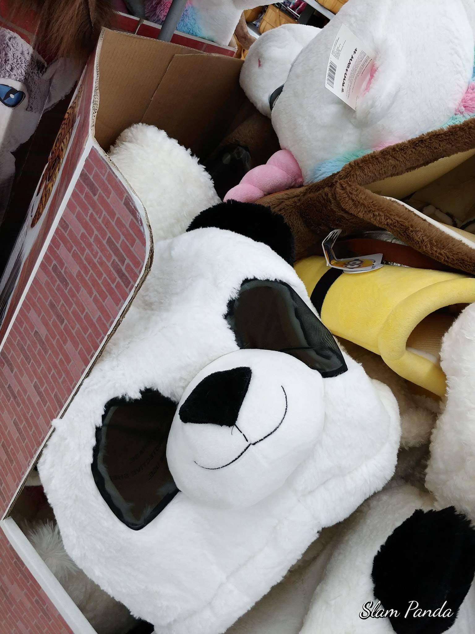 Did you seen the Panda? 🐼 If yes then comment 👉🏼🐼