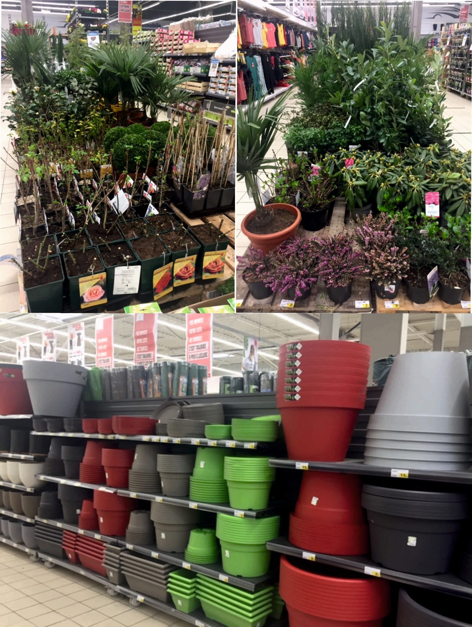 Sitemapcdatahttpwweinfbizidsalon De Jardin Leclerc Beaux Joursnull