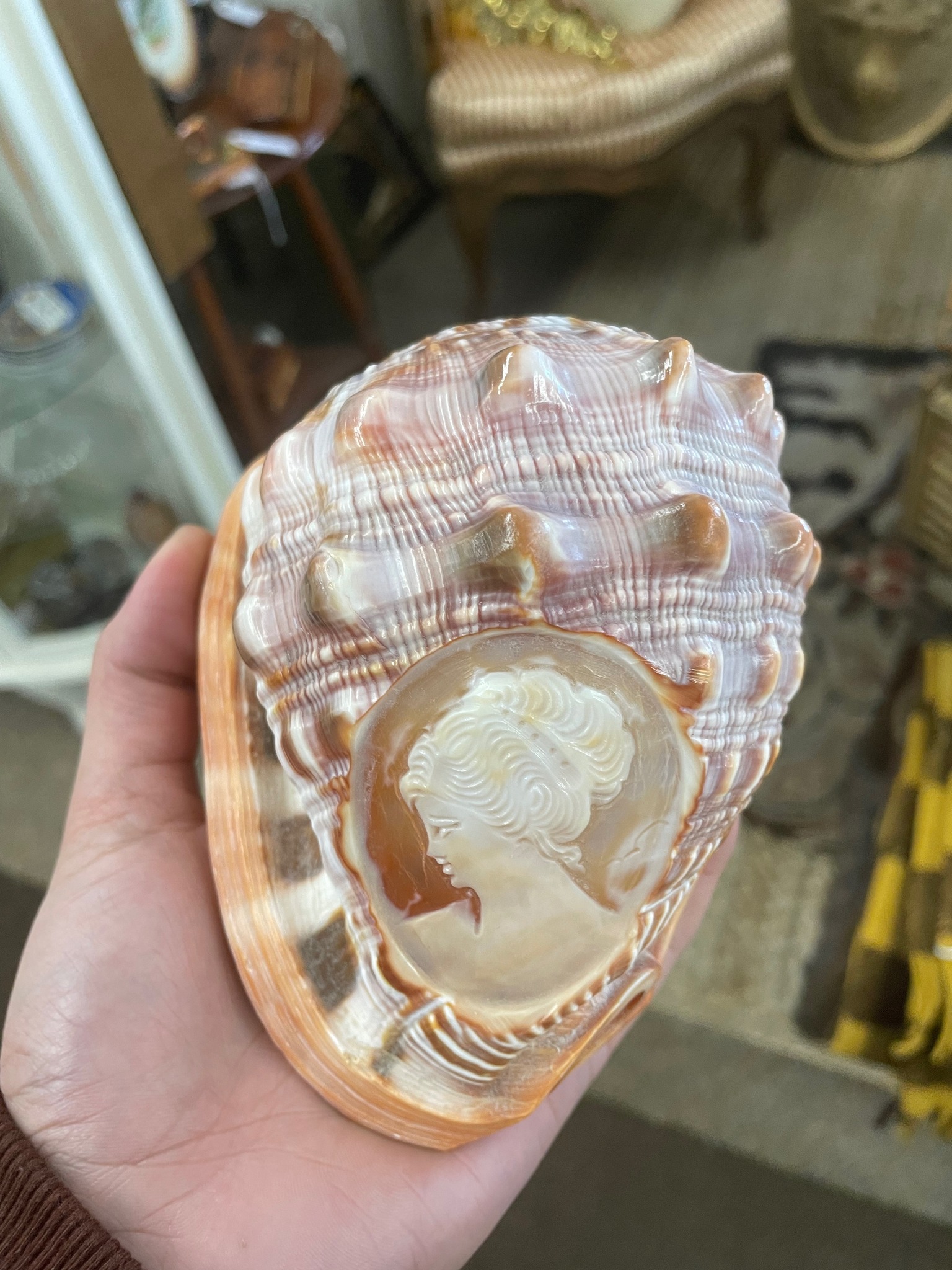 Vintage Italian cameo carved into a seashell