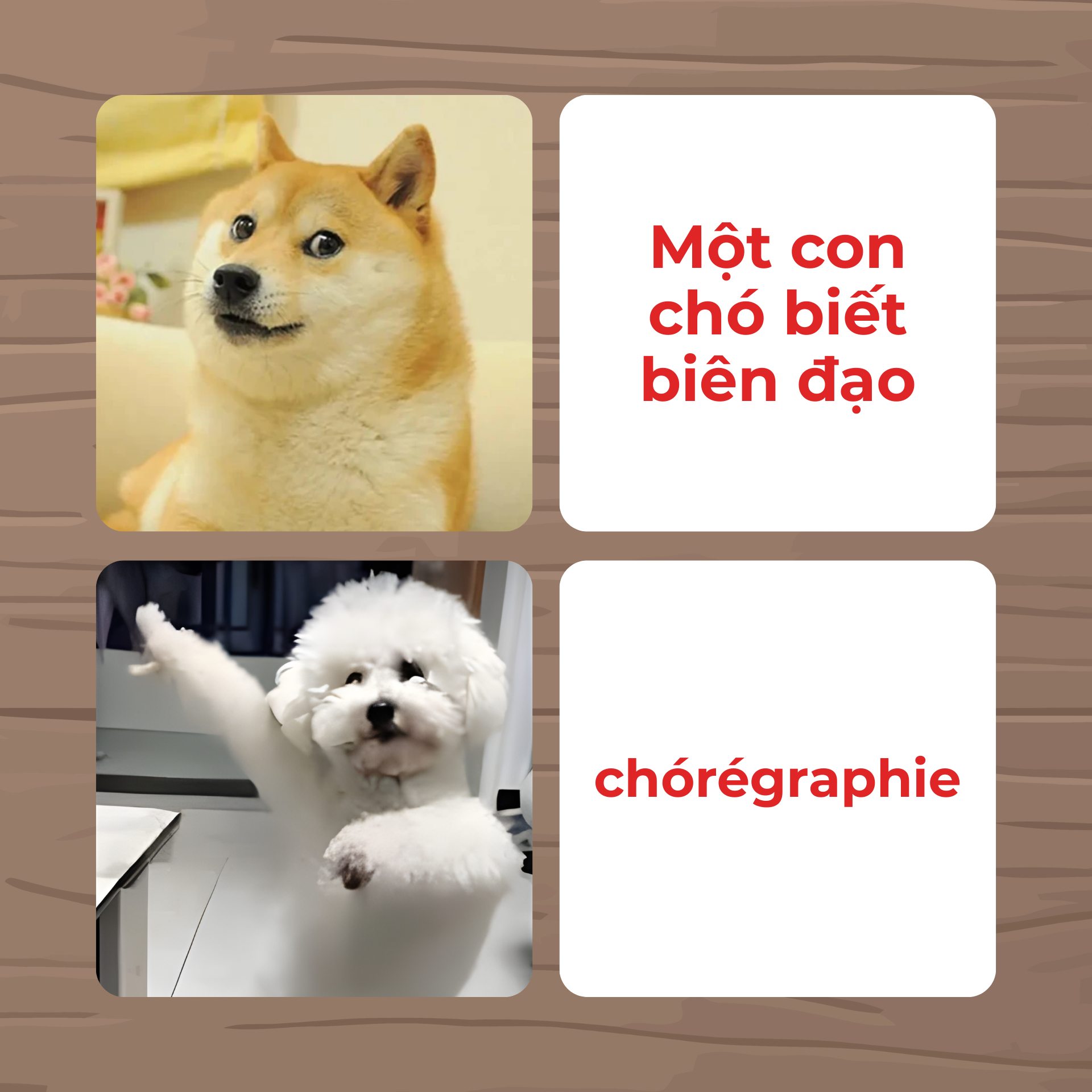 Groupe này học tiếng Pháp [Ici, on parle français] | Một con chó đạt A2 ...