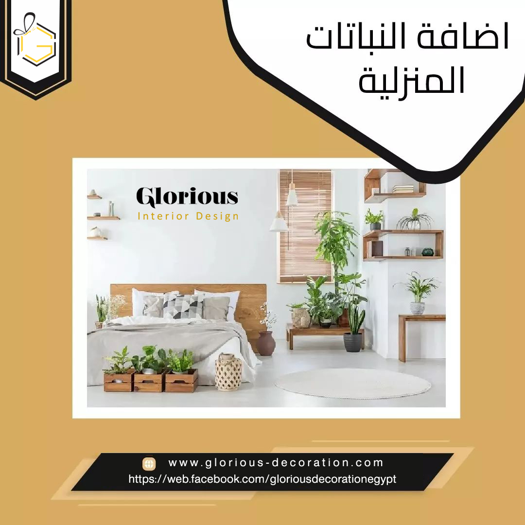 Glorious Decoration interior design | Cairo
