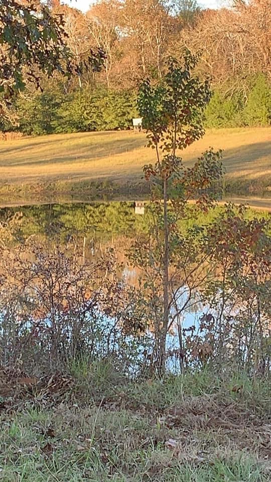 Whiskey Ridge Ranch