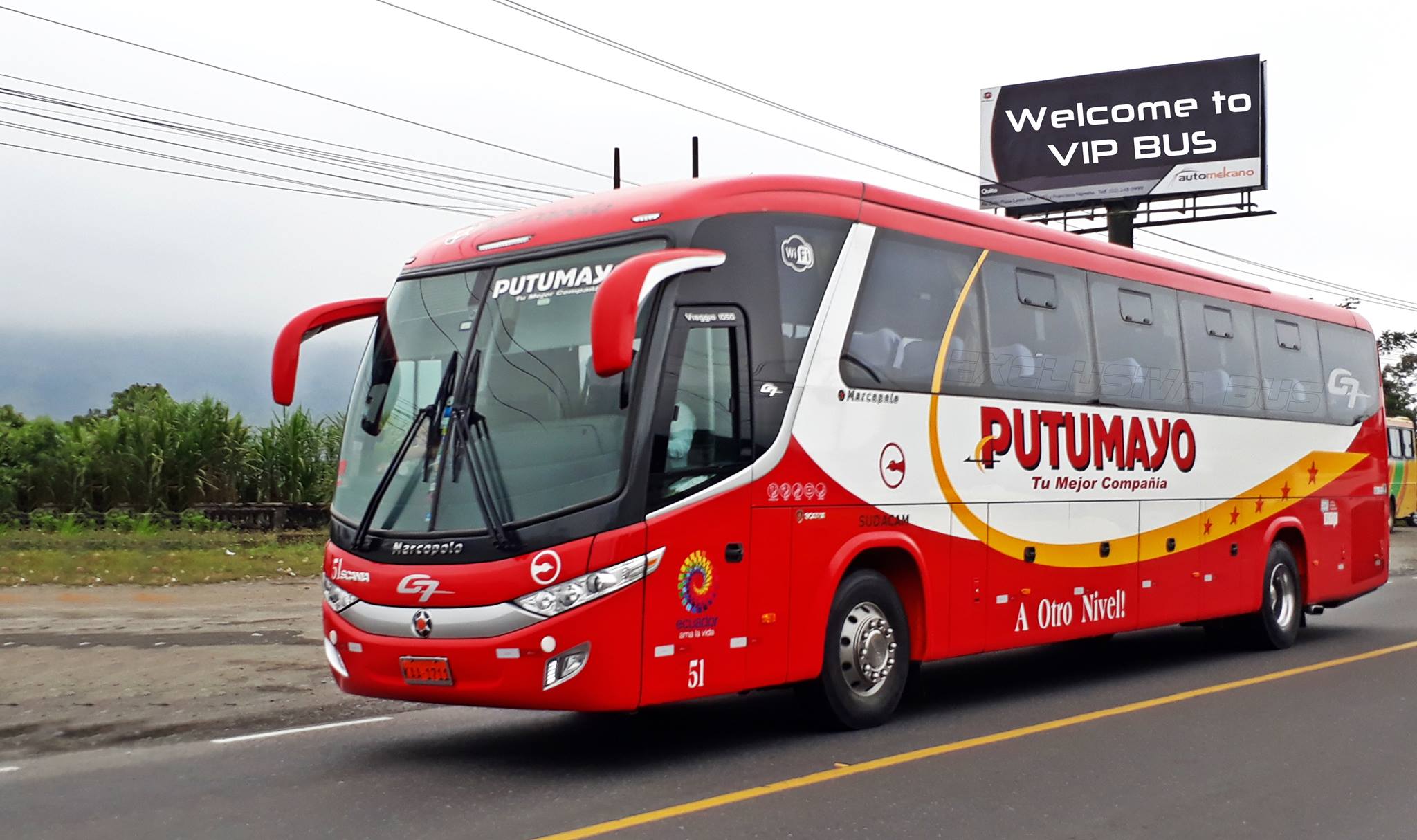 VIP BUS | Facebook