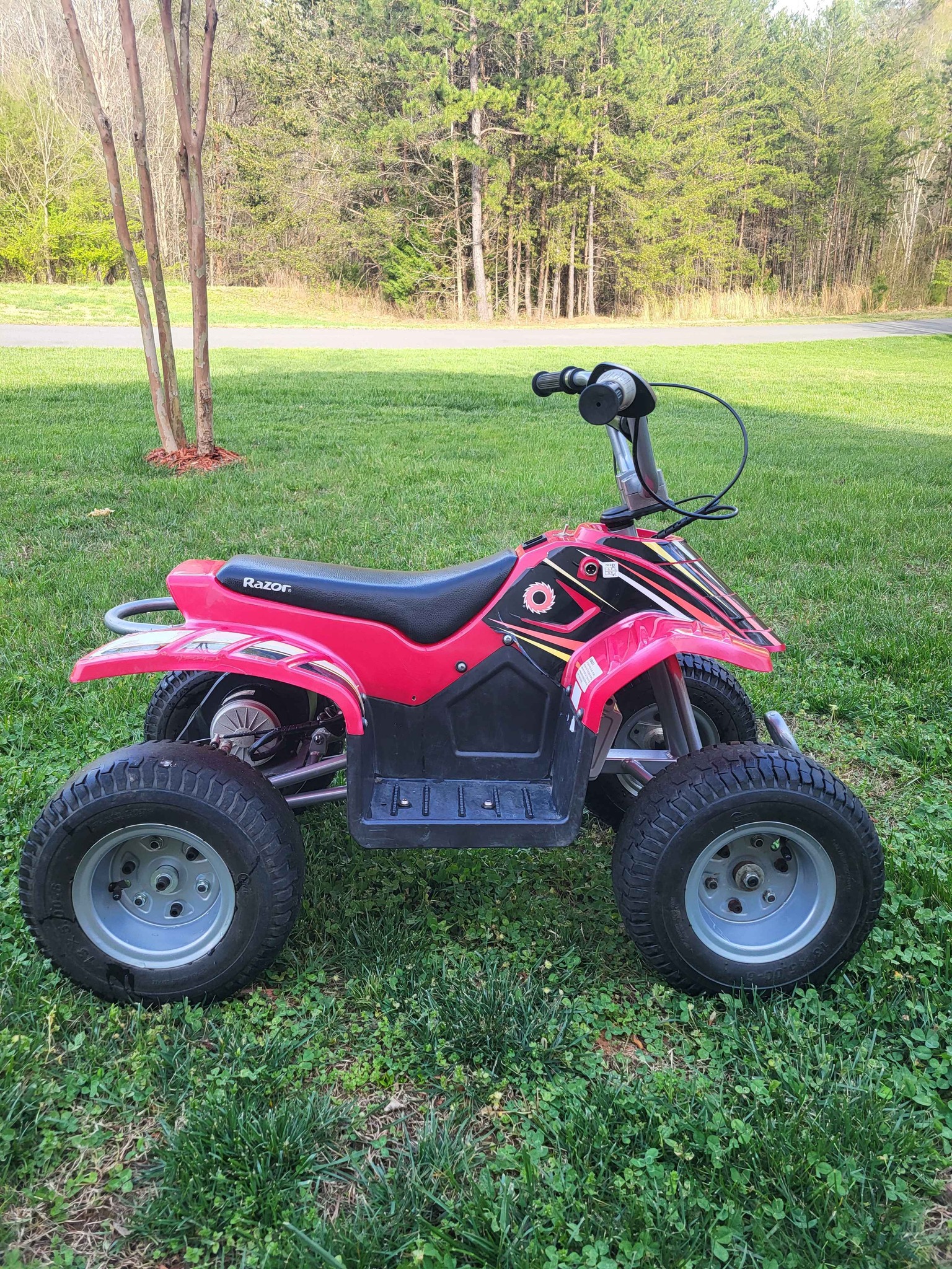 Razor Electric Youth ATV - ATVs & UTVs - Statesville West, North ...