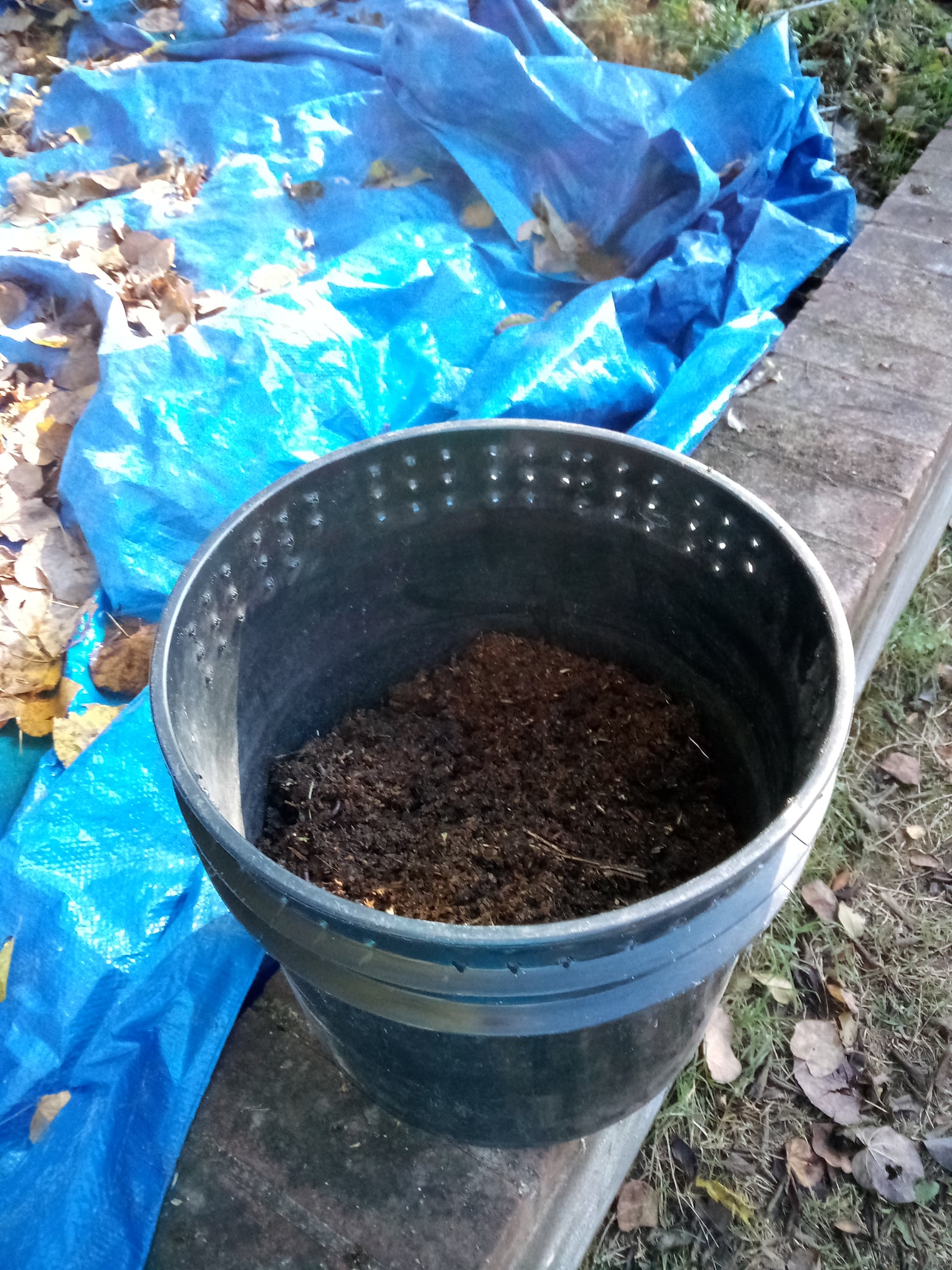 I want to sell a Worm Tower system... - redwigglersfarm.com