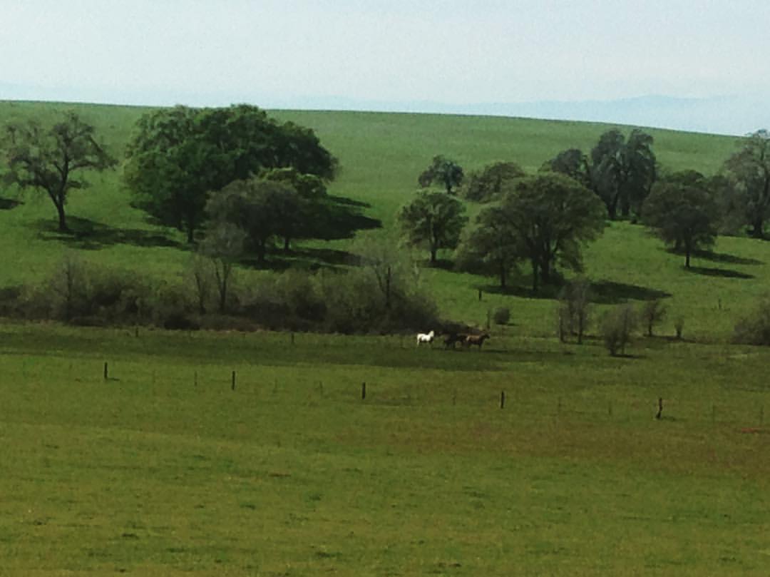 The Far View