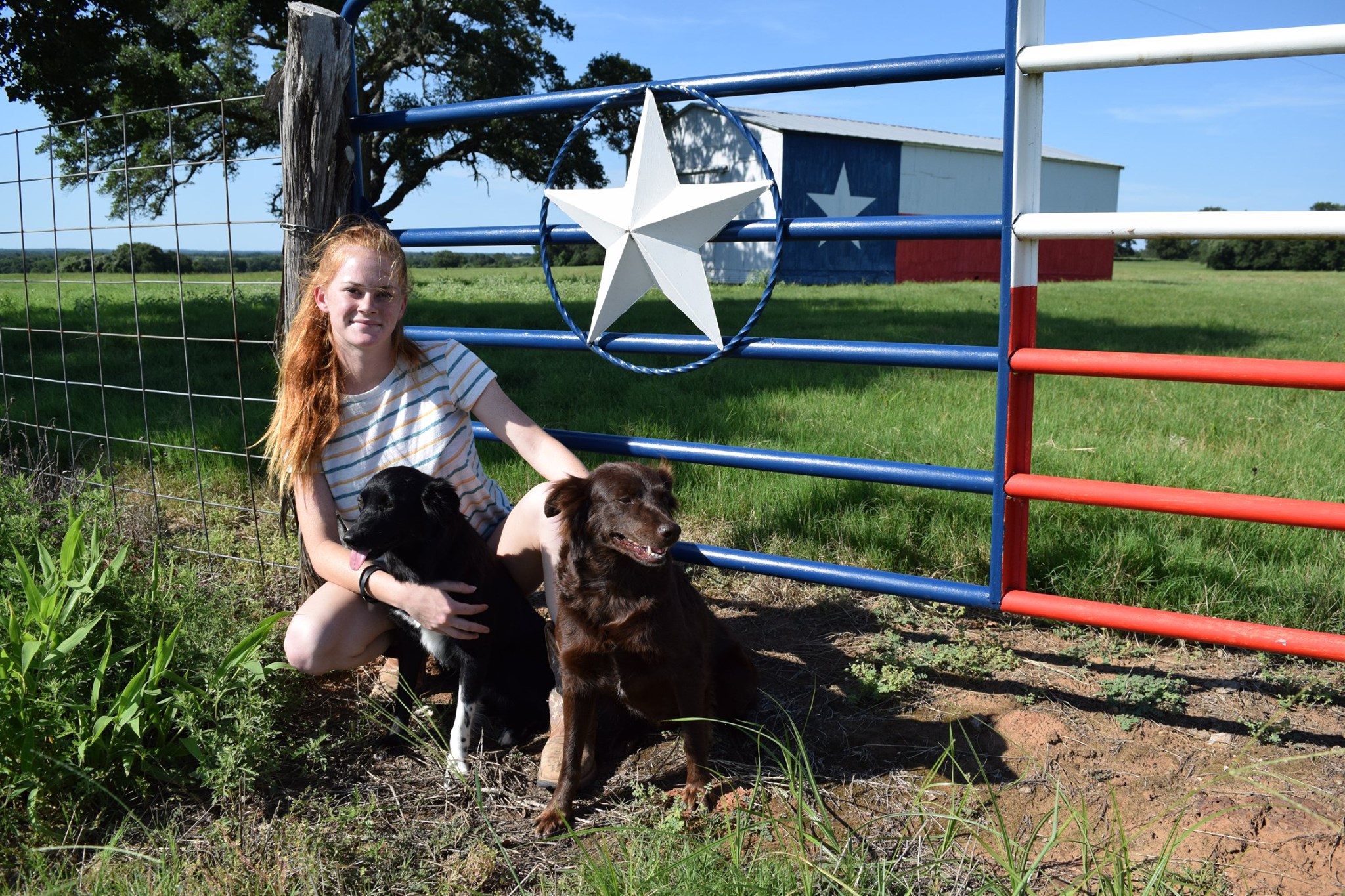 Our Texas trip with... - Iron Side Ranch Australian Shepherds