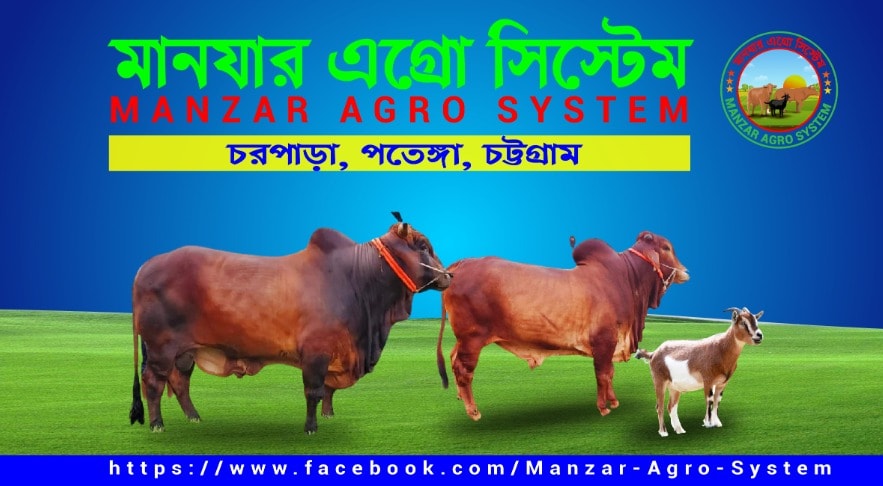 Manzar Agro System