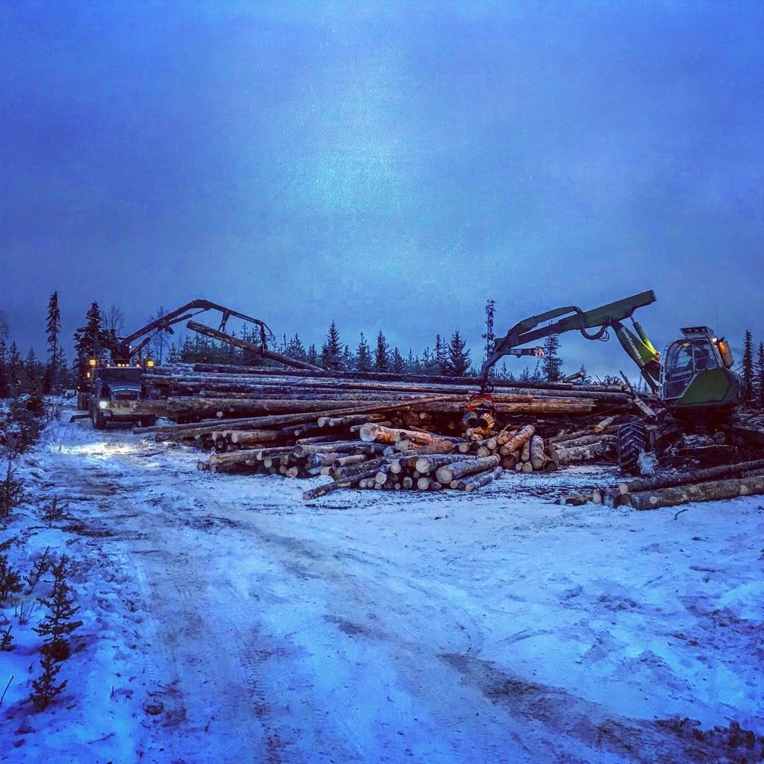 Timberline Spider - Removing the timber as fast as we can process it. # ...