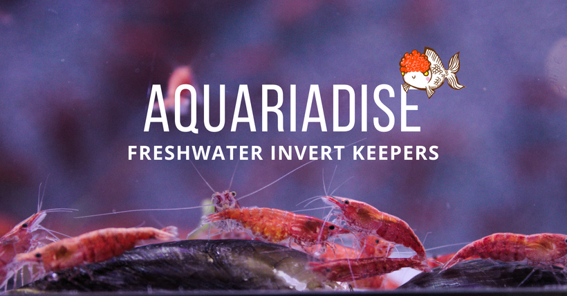 Aquariadise Freshwater Invert Keepers | Facebook