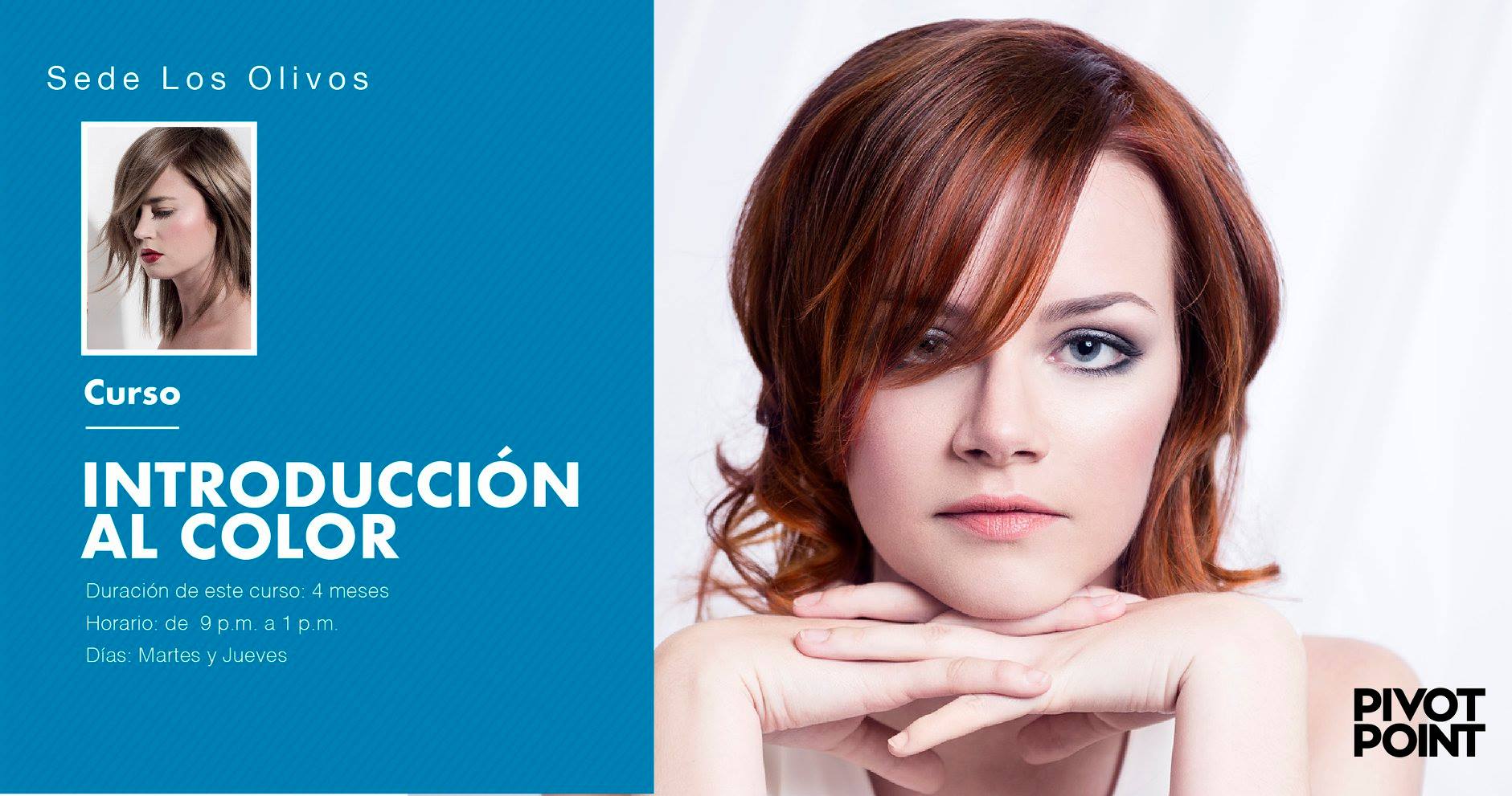 ¡ Iníciate en el mundo del color con el... - Pivot Point Perú