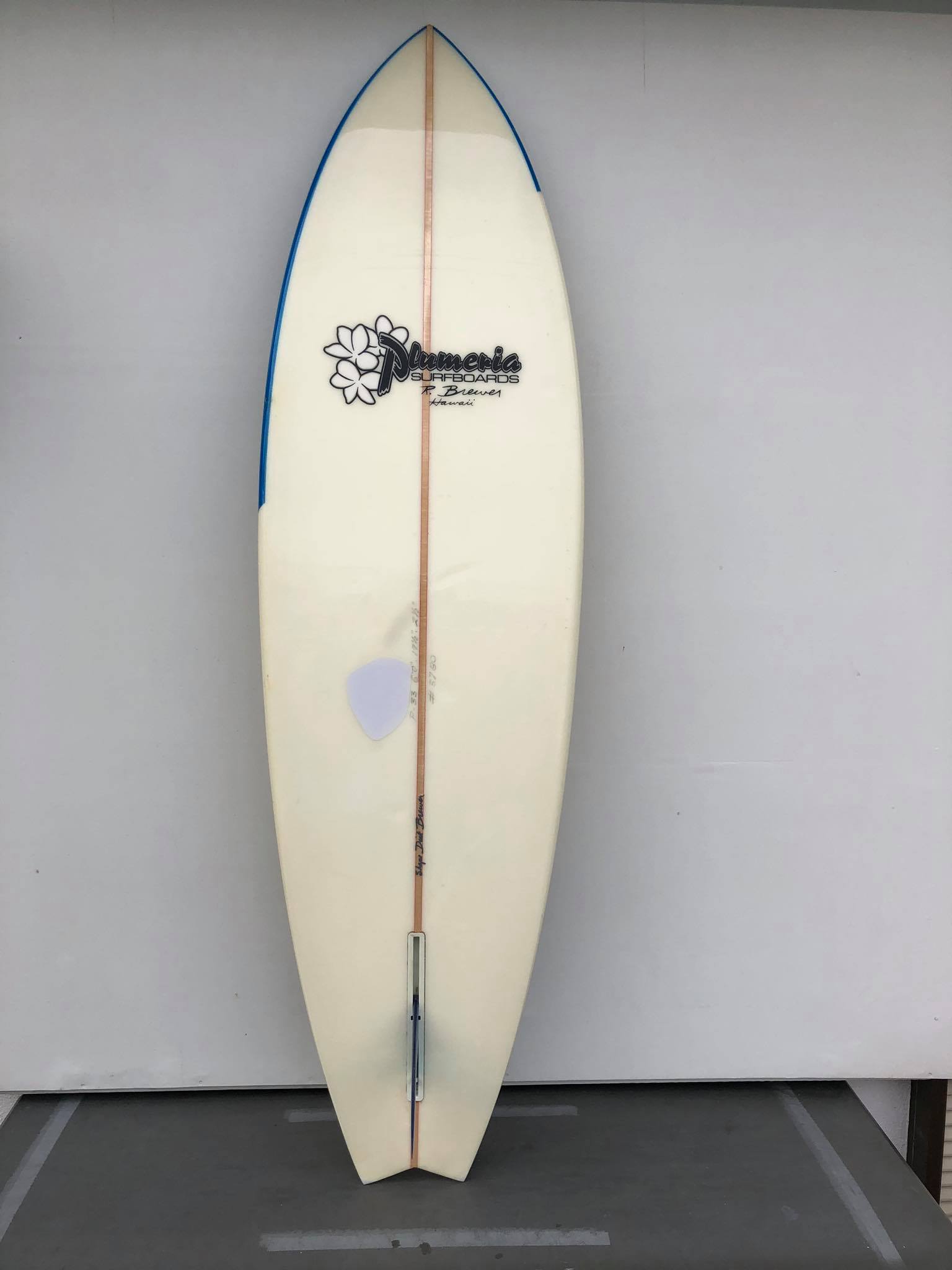 Dick Brewer / SEMI GUN 6`10 by ナガヌマ Dick Brewer / SEMI GUN 6