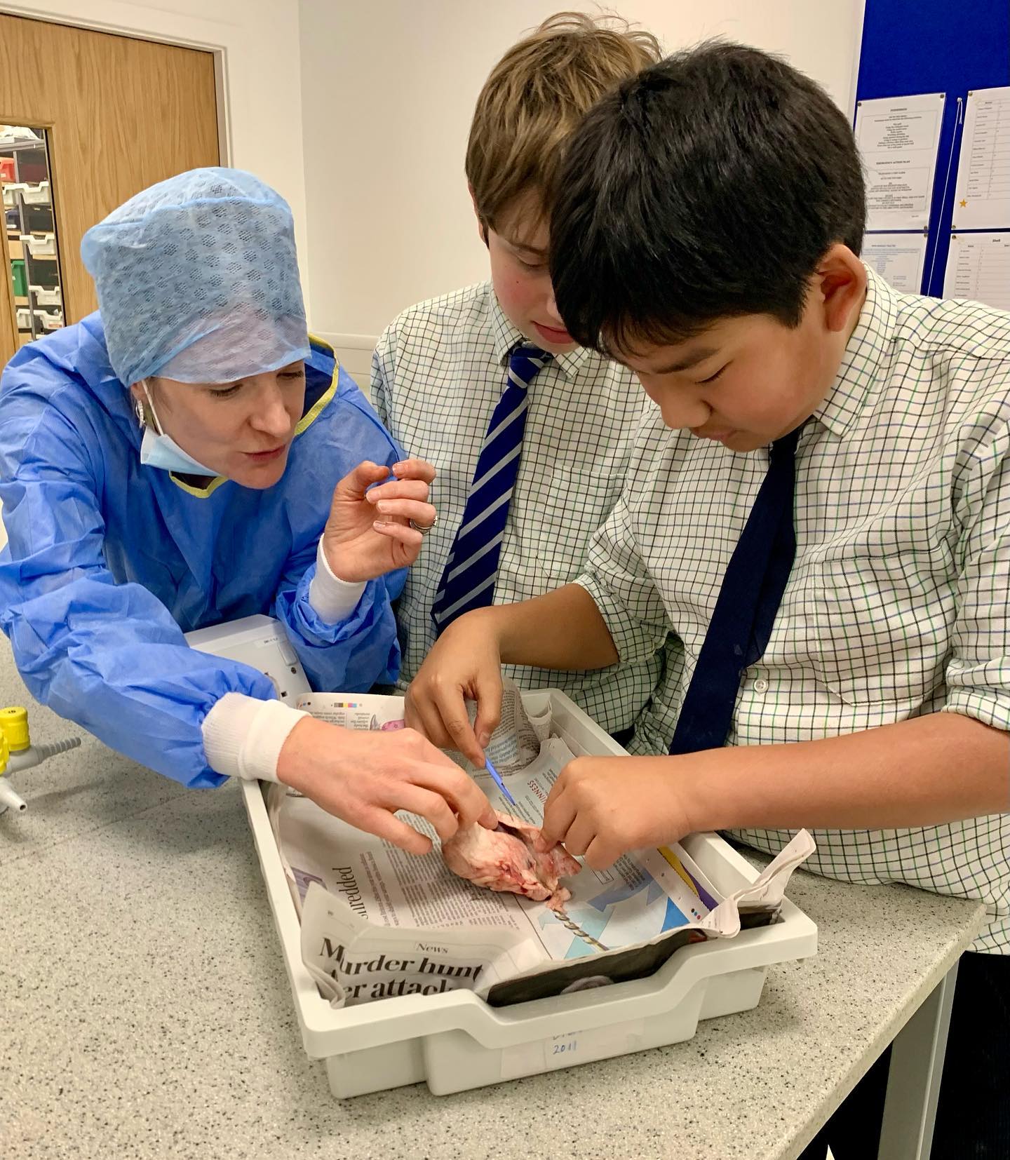 Ludgrove School - The boys in Dissection Club...