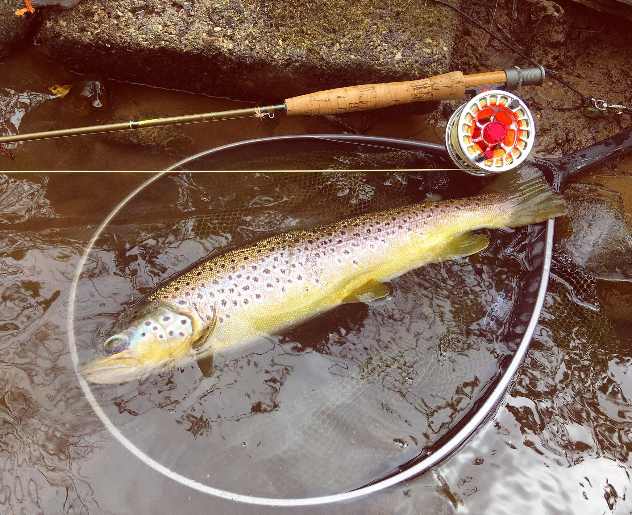 airflo v2 trout fly fishing reels NEW Streamtec Rods Full Range Available (7'6