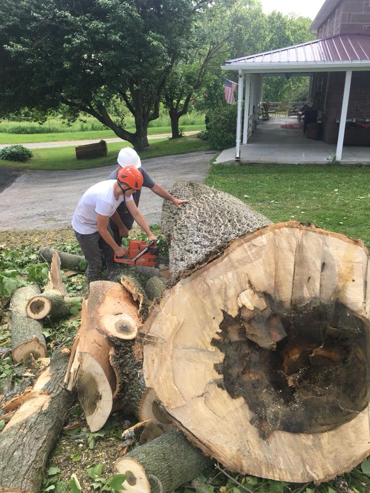 Bolen's Tree Service LLC | New Oxford PA