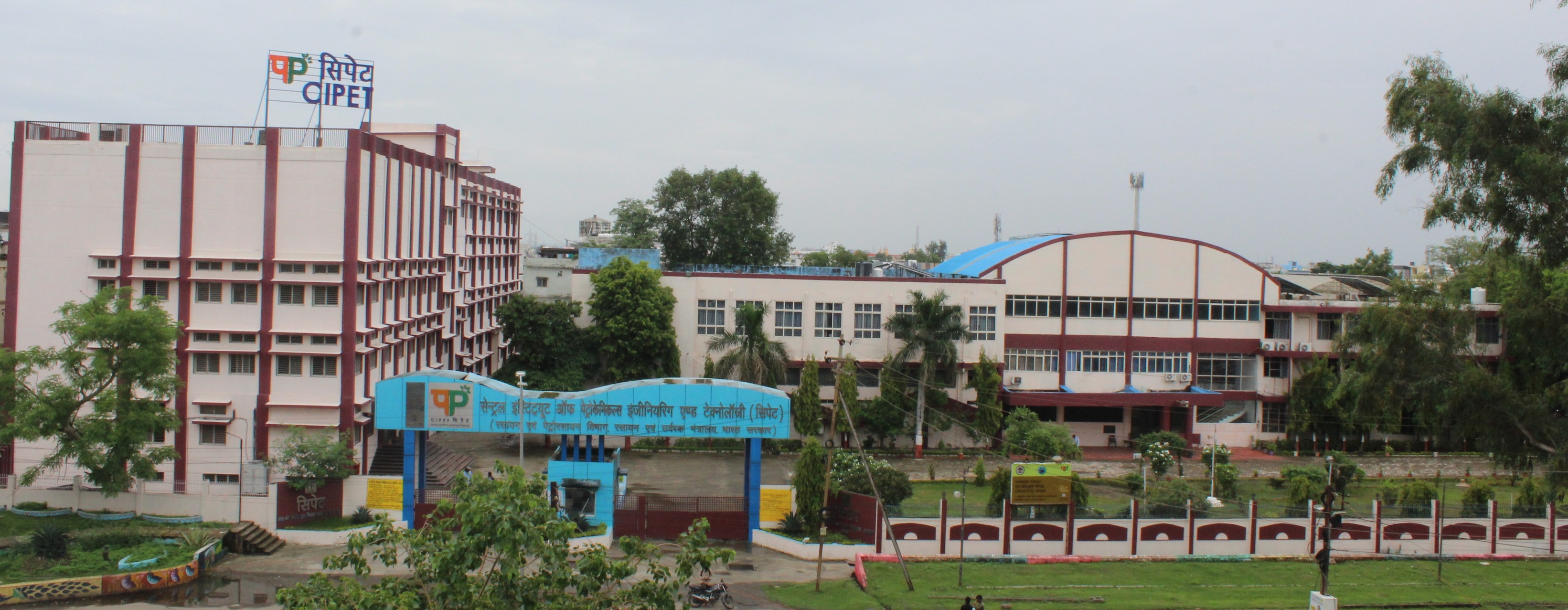 Cipet Csts Bhopal
