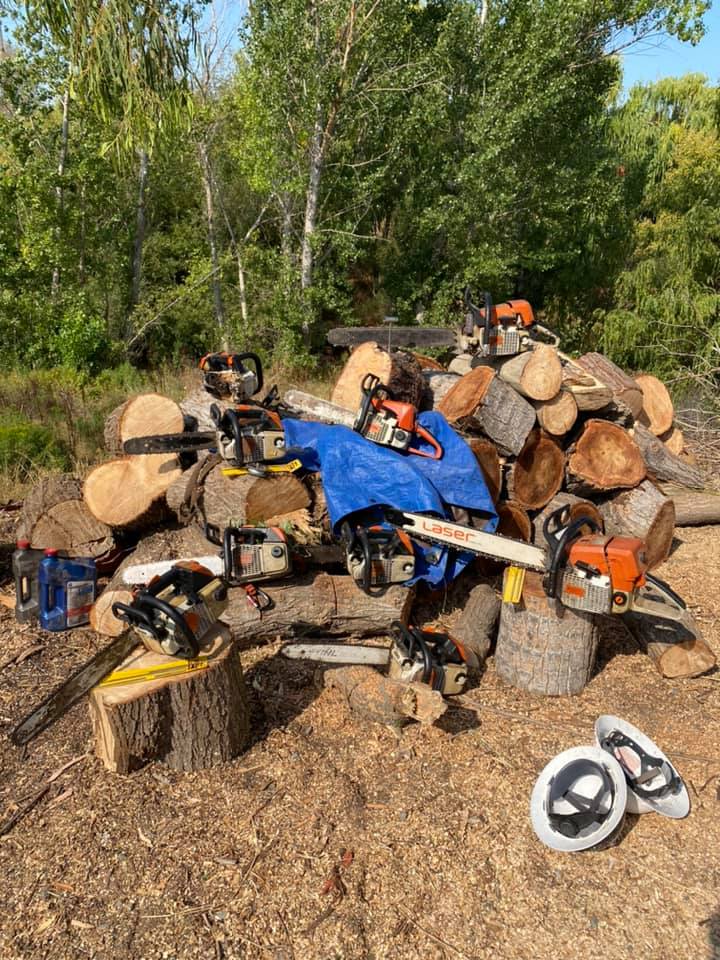 S & P Tree Service | San Jose CA
