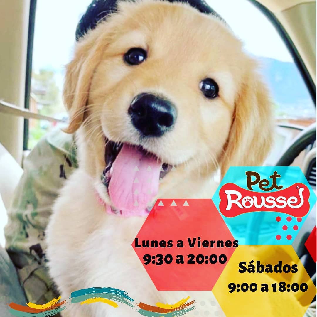Pet Roussel | Guayaquil