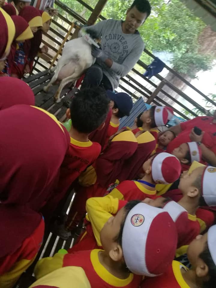 Terima Kasih As Farm Tadika Raudhah Imtiaz Kemaman Facebook